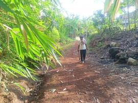 SEMPAT KERING, PETANI AYEM SETELAH HUJAN KEMARIN